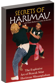 DVD ڥ㥯å ϥޥζ˰ Secret of Harimau