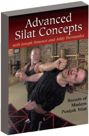 DVD åȥ󥻥ץ Vol.2  Silat Concepts Advanced