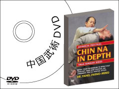 中国武術DVD販売
